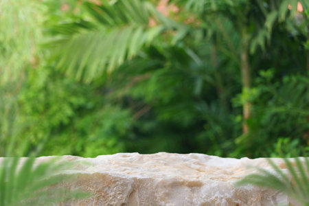 Stone podium tabletop floor outdoors blurred green palm leaf tropical forest plant nature background.Beauty cosmetic natural product placement pedestal display,jungle summer concept.の写真素材