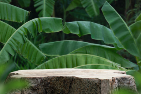 Wood tabletop counter podium floor in outdoors tropical garden forest blurred green banana leaf plant nature background.Natural product placement pedestal stand display,summer jungle paradise concept.の写真素材