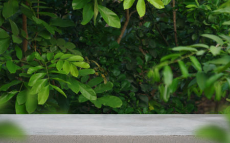 Concrete podium tabletop floor outdoors blur green leaf tropical forest garden plant nature background.Beauty cosmetic natural product placement pedestal display,jungle summer concept.の写真素材