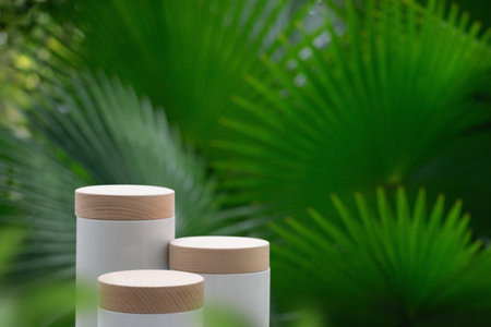 Minimal podium table top outdoors blur green leaf tropical forest plant background.beauty cosmetic healthy natural product placement pedestal display,spring or summer jungle paradise concept.の写真素材