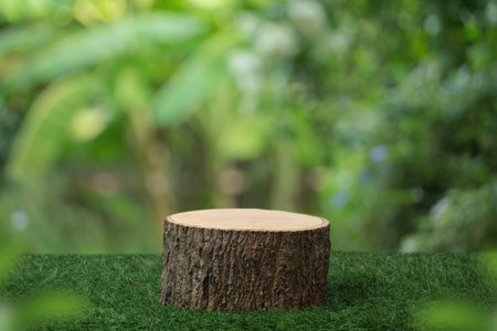 Wood tabletop podium floor in outdoors blur green leaf tropical forest nature background.cosmetic natural product mock up placement pedestal stand display,jungle summer concept.の写真素材
