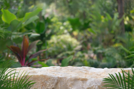 Stone tabletop counter podium floor in outdoors tropical garden forest blurred green palm leaf plant nature background.Natural product placement pedestal stand display,summer jungle paradise concept.の写真素材