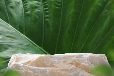 Stone tabletop counter podium floor in with blurred tropical forest green leaf plant nature background.Natural product placement pedestal stand display,summer jungle paradise concept.の写真素材