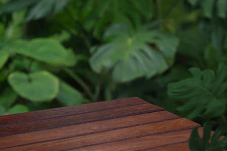 Wood tabletop floor in outdoors blur green leaf tropical forest nature background.cosmetic natural product mock up placement pedestal stand display,jungle summer concept.の写真素材
