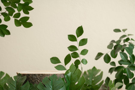 Wood podium with blurred green leaf plant on beige background.Beauty cosmetic natural mild product modern display,nature eco friendly concept.の写真素材
