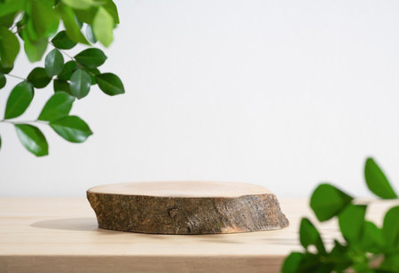 Wood podium table top blurred green leaf plant on white space nature background.Beauty cosmetic natural product display.の写真素材