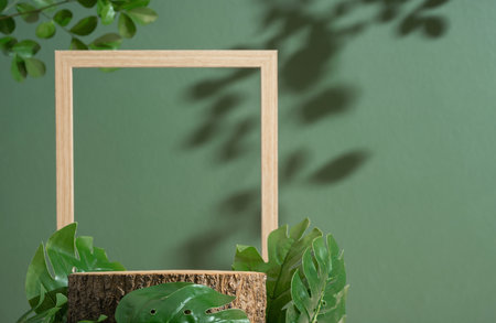 Wood podium table top with wooden frame blurred monstera green leaf plant nature background.Beauty cosmetic natural eco product modern display.jungle tropical forest concept.の写真素材