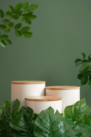 Minimal wood white podium with blurred monstera green leaf plant.Beauty cosmetic natural product modern display,tropical forest nature background concept.の写真素材