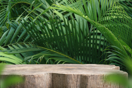 Wood tabletop podium floor in outdoors tropical garden forest blurred green palm leaf plant nature background.Natural product placement pedestal stand display,jungle paradise concept.の写真素材