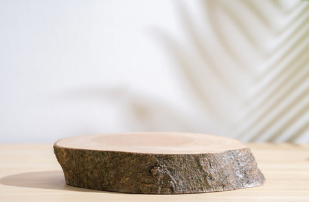 Wood table top podium blurred shadow palm leaf plant on white space nature background.Beauty cosmetic natural product display.summer spring concept.の写真素材