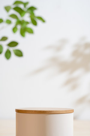 Minimal wood white podium with blurred green leaf plant on isolated background.Beauty cosmetic natural mild product modern display,nature eco friendly concept.の写真素材