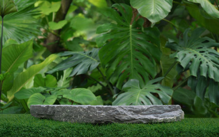 Stone tabletop podium floor in outdoors tropical garden forest blurred green leaf plant nature background.Natural product placement pedestal stand display,jungle paradise concept.の写真素材