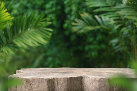 Wood tabletop counter podium floor in outdoors tropical garden forest blurred green palm leaf plant nature background.Natural product placement pedestal stand display,summer jungle paradise concept.の写真素材