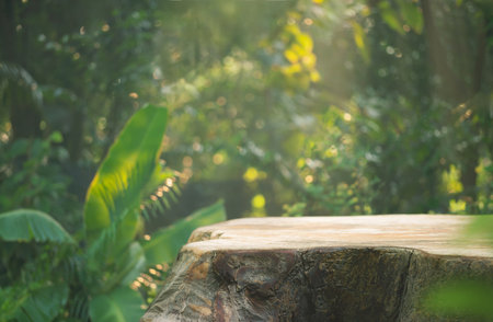 Wood tabletop podium floor in outdoors tropical garden forest blurred green leaf plant nature background.Natural product placement pedestal stand display,jungle paradise concept.の写真素材