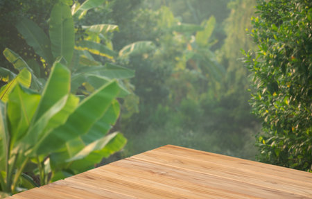 Wood tabletop floor in outdoors blur green leaf tropical forest nature background.cosmetic natural product mock up placement pedestal stand display,jungle summer concept.の写真素材