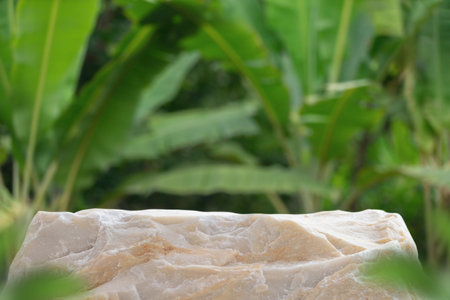 Stone tabletop podium floor in outdoors tropical garden forest blurred banana green leaf plant nature background.Natural product placement pedestal stand display,jungle paradise concept.の写真素材