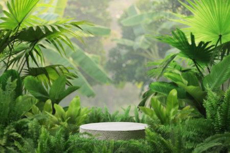 Concrete podium tabletop floor in outdoor tropical garden forest blurred green leaf plant nature background.Natural product placement pedestal stand display,summer jungle paradise concept.の写真素材