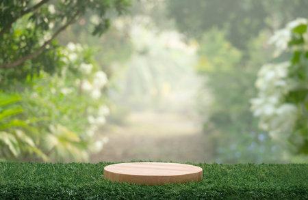 Minimal podium table top outdoors blur green leaf tropical forest plant background.beauty cosmetic healthy natural product placement pedestal display,spring or summer jungle paradise concept.の写真素材