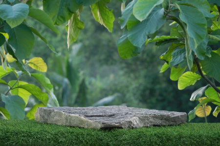 Stone tabletop podium floor in outdoors tropical garden forest blurred green leaf plant nature background.Natural product placement pedestal stand display,jungle paradise concept.の写真素材