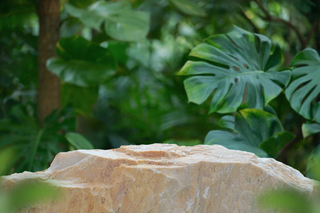 Stone tabletop podium floor in outdoors tropical garden forest blurred green leaf plant nature background.Natural product placement pedestal stand display,jungle paradise concept.の写真素材