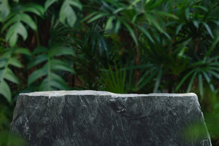 Stone tabletop podium floor in outdoors tropical garden forest blurred green leaf plant nature background.Natural product placement pedestal stand display,jungle paradise concept.の写真素材