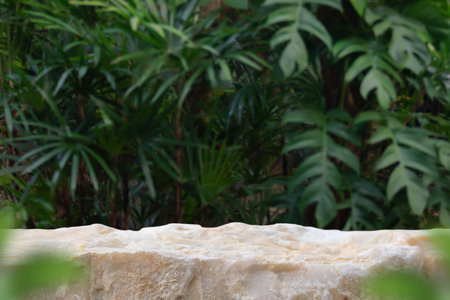 Stone tabletop podium floor in outdoors tropical garden forest blurred green leaf plant nature background.Natural product placement pedestal stand display,jungle paradise concept.の写真素材
