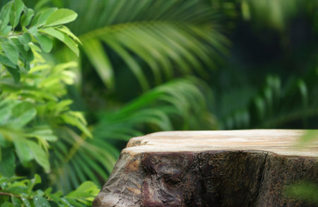 Wood podium table top floor in outdoors tropical garden forest blurred green leaf plant nature background.Natural product placement pedestal stand display,jungle paradise concept.の写真素材