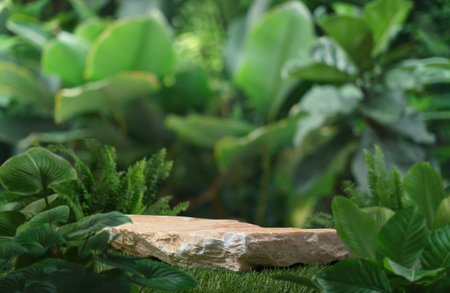 Stone tabletop podium floor in outdoors tropical garden forest blurred green leaf plant nature background.Natural product placement pedestal stand display,jungle paradise concept.の写真素材