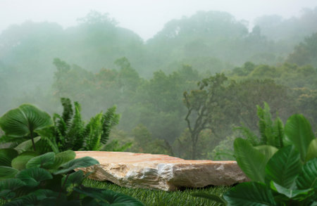 Stone tabletop podium floor in outdoors tropical forest green leaf blurred landscape nature background.Natural product placement pedestal stand display,jungle paradise concept.の写真素材