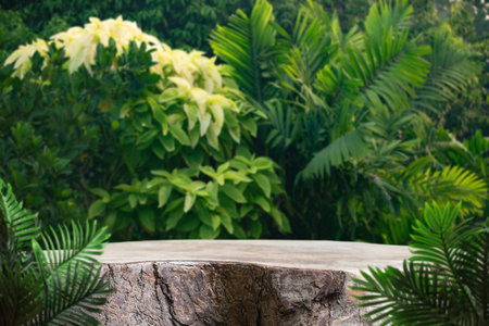 Wood table top podium floor in outdoors tropical garden forest blurred green leaf plant nature background.Natural product placement pedestal stand display,jungle paradise concept.の写真素材