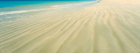 Texture of sand on the beachの写真素材