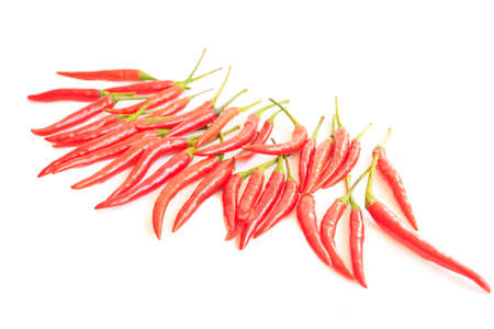 Red chiliの写真素材