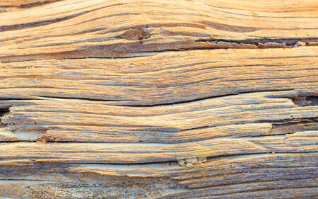 Wood texture backgroundの写真素材
