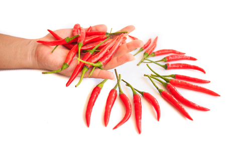 Red chiliの写真素材