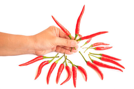 Red chiliの写真素材