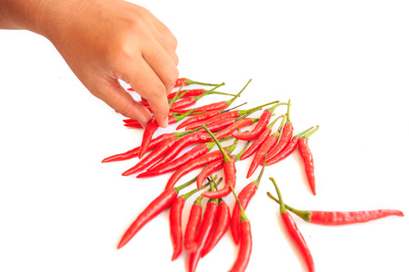 Red chiliの写真素材