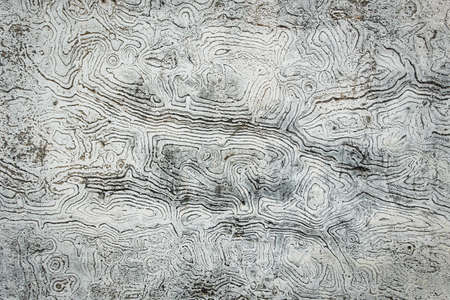 Texture of old cement wallの写真素材