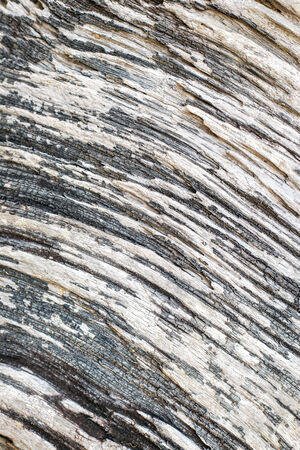 wood texture backgroundの写真素材