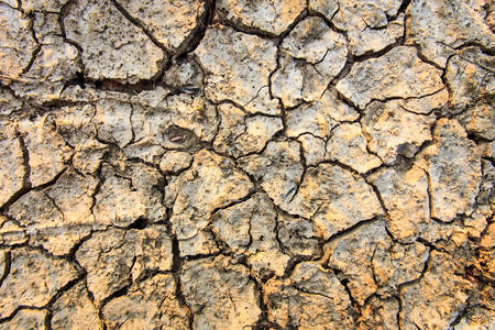 Cracked earth texture in northeast of Thailandの写真素材