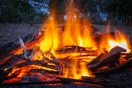 Fireの写真素材