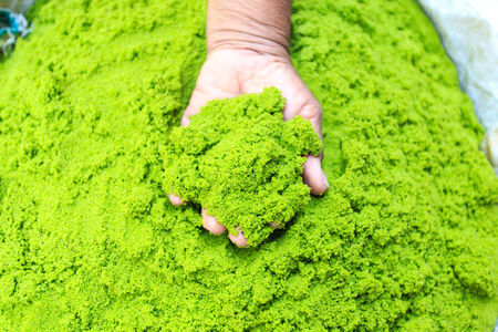 Swamp Algae or Water Meal in northeast of Thailandの写真素材