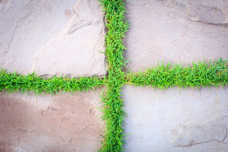 stone way in green grass の写真素材