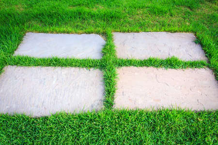 stone way in green grass の写真素材