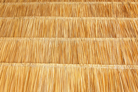 Texture of hay stack roof in Thailandの写真素材