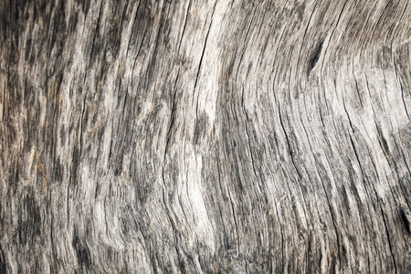 Wood textureの写真素材