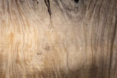 Wood texture
