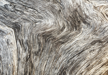 Wood textureの写真素材