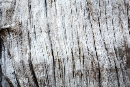 Wood textureの写真素材