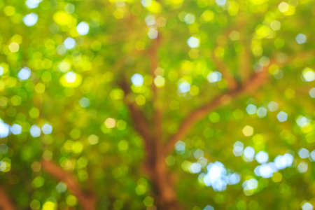 bokeh abstract の写真素材