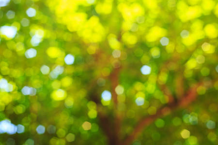 bokeh abstract の写真素材